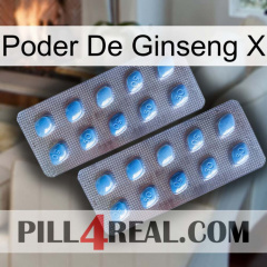 Ginseng Power X viagra4